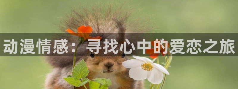天堂动漫网页入口：动漫情感：寻找心中的爱恋之旅