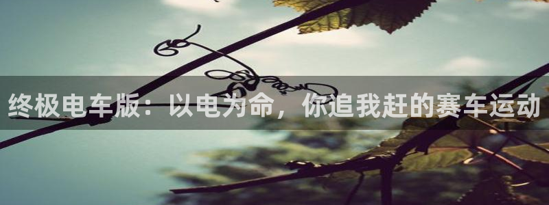 亚洲天堂动漫在线：终极电车版：以电为命，你追我赶的赛车运动