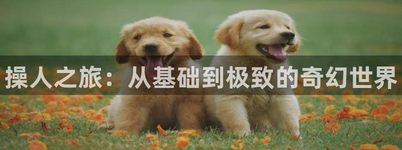 天堂动漫网：操人之旅：从基础到极致的奇幻世界