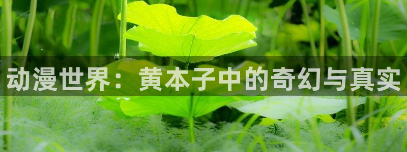 动漫天堂下载安装最新版：动漫世界：黄本子中的奇幻与真实