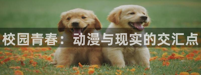 电影天堂动漫：校园青春：动漫与现实的交汇点